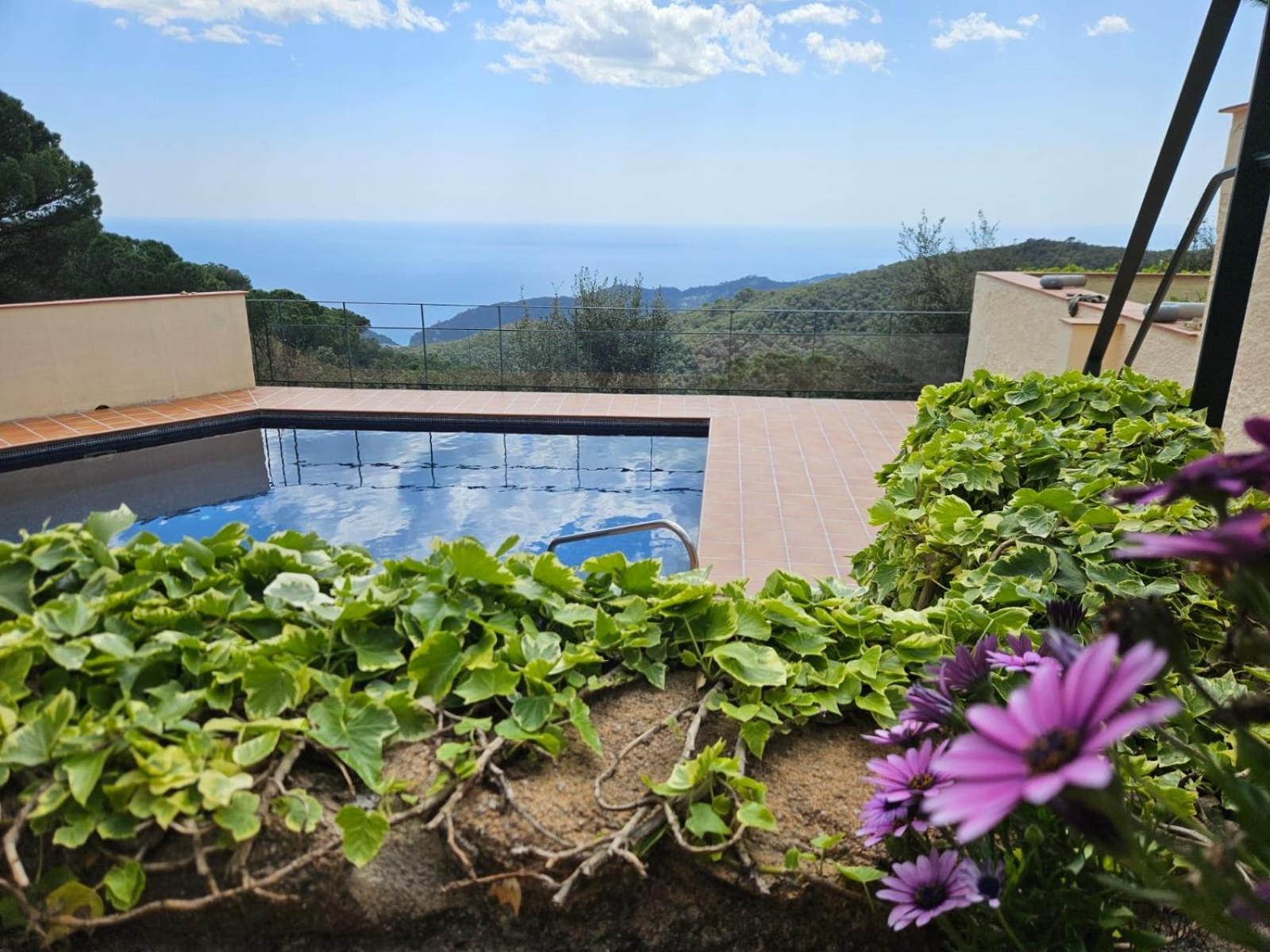 La Roqueta Hotel Tossa de Mar Kültér fotó